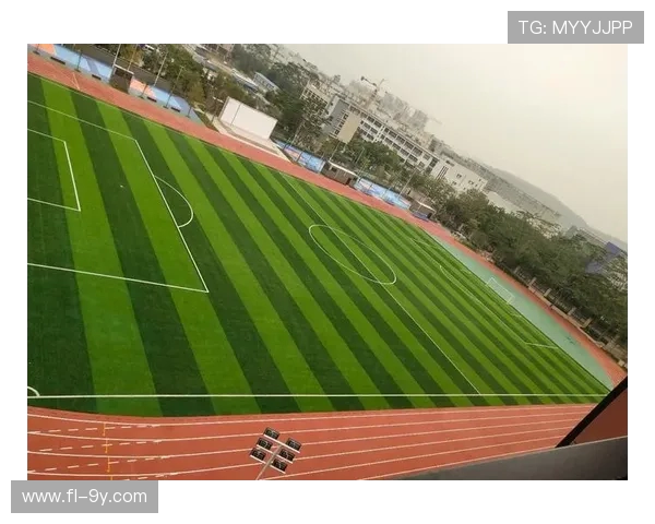 东海中学是否拥有标准足球场及其设施配置情况分析